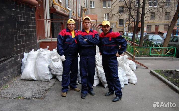 Вынос хлама. Перевозка на свалку