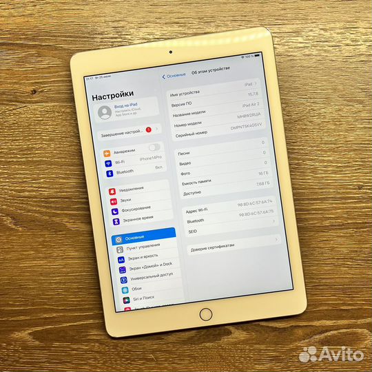 iPad Air 2 Gold 16GB