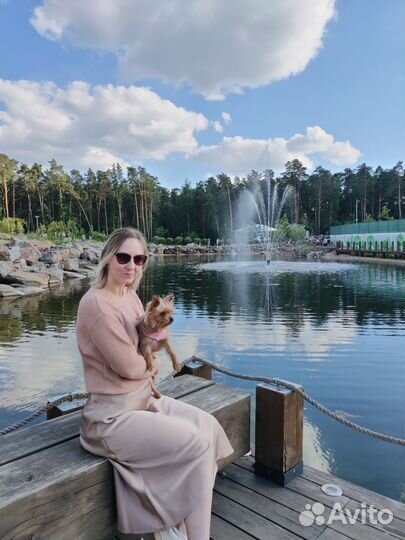 Передержка/выгул небольших собак