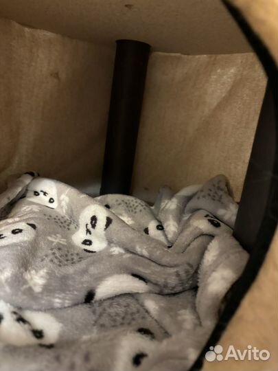 Когтеточка для кошек