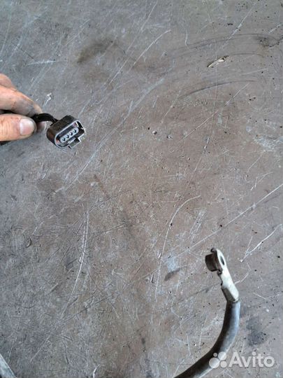 Проводка генератора Volkswagen Passat B6