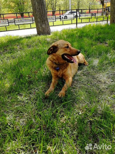 В надёжные руки