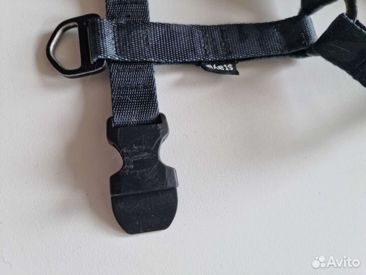 Шлейка для собаки Стая Staya