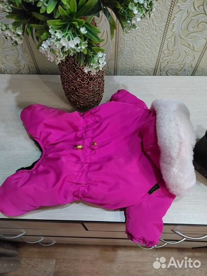 Вещи для животных