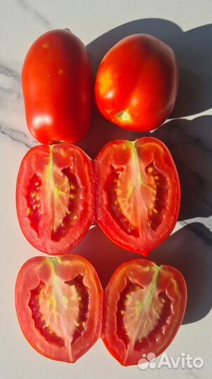 Томат сливка