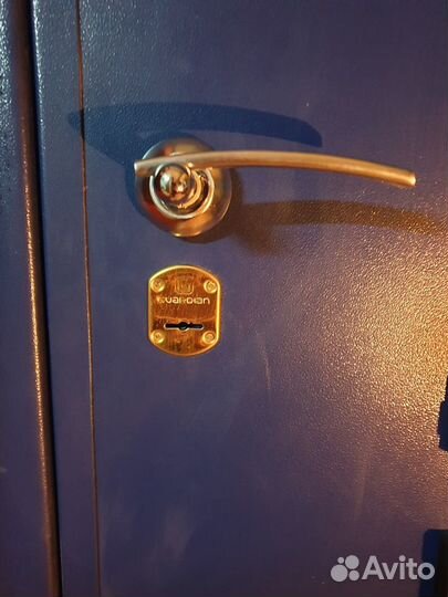 Дверь металлическая пр-во Гардиан и доборный брус