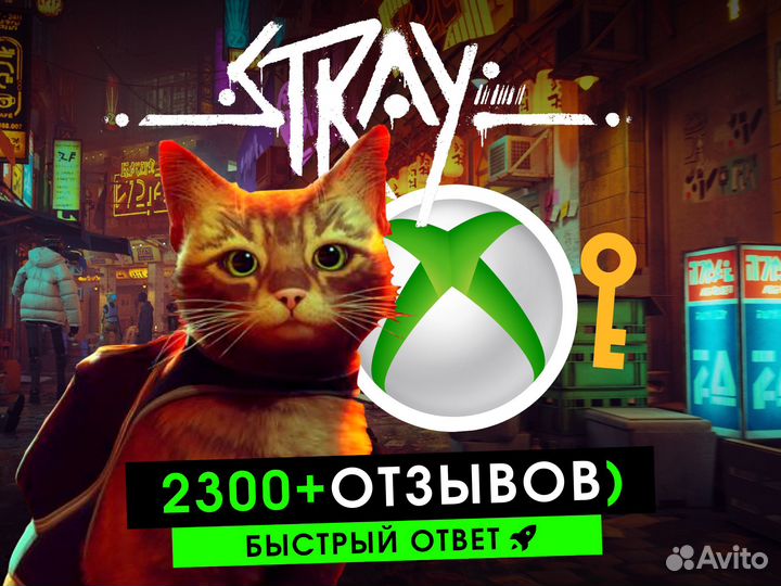 Stray Xbox (Ключ) / Русский язык