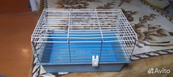 Клетки разных размеров