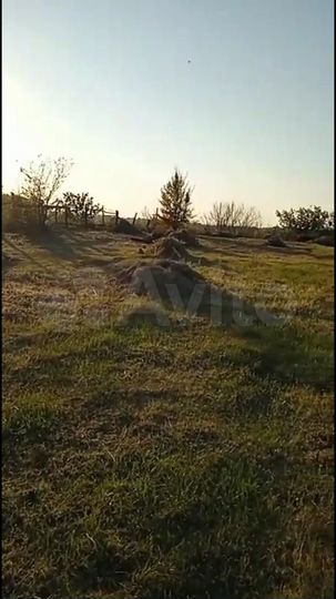 Участок 13 сот. (ИЖС)