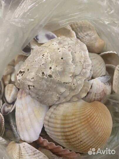 Для аквариума