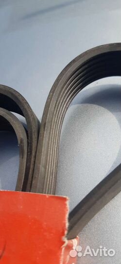 Ремень chevrolet epica 6PK1835