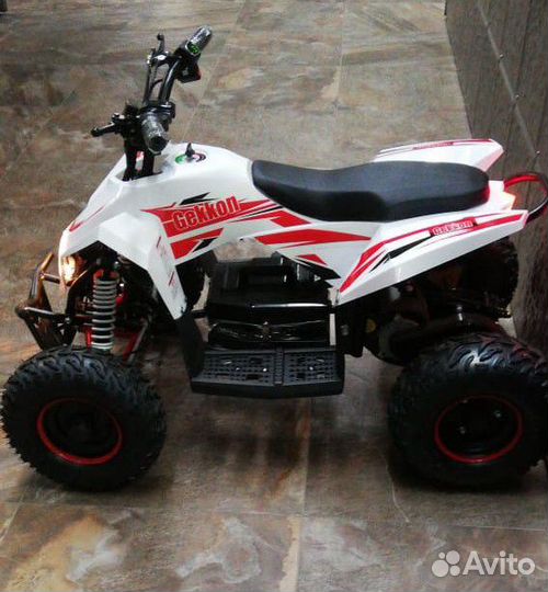 Детский электрический квадроцикл Gekkon 1300W