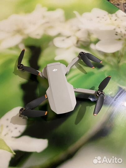 Квадрокоптер dji mavic mini 2