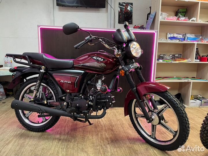 Alpha RX NEW 49,9(125cc)