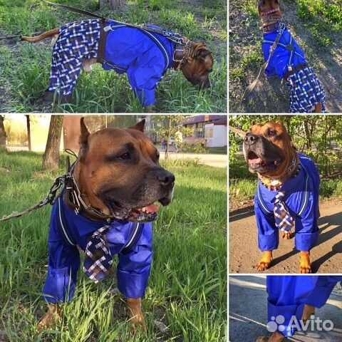 Комбенизон и лежанка для собак крупных пород