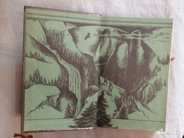 В. Я. Шишков. страшный кам