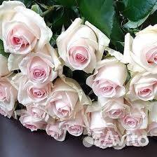 Розы двухцветные Букет роз