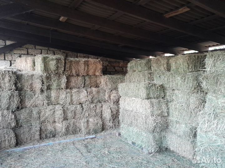 Сено люцерны, разнотравия