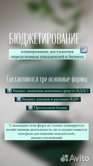 Финансист Управленческий учёт Оцифровка бизнеса