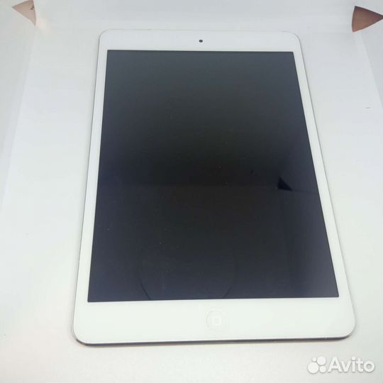 iPad mini 1