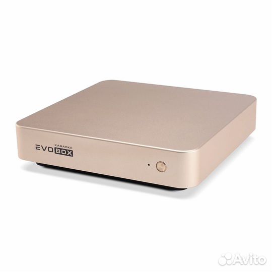Караоке Evobox Gold + радиомикрофоны в подарок