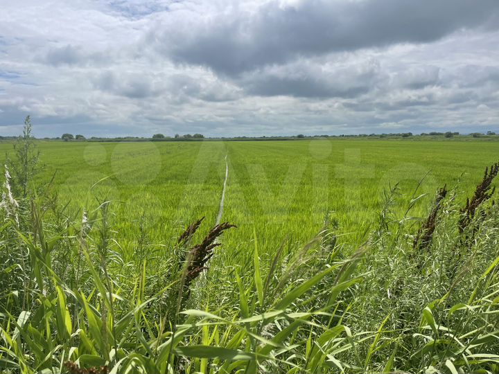 Участок 2500 га (СНТ, ДНП)