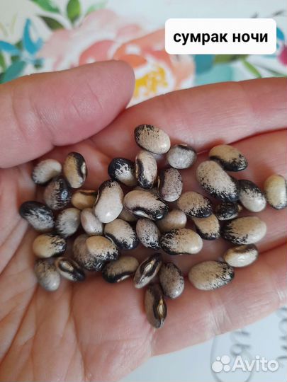 Лимская фасоль