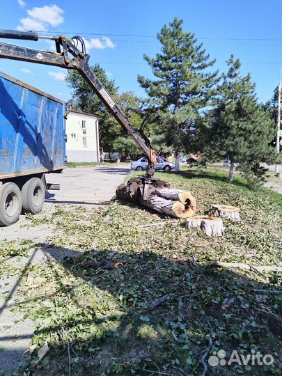 Обрезка деревьев