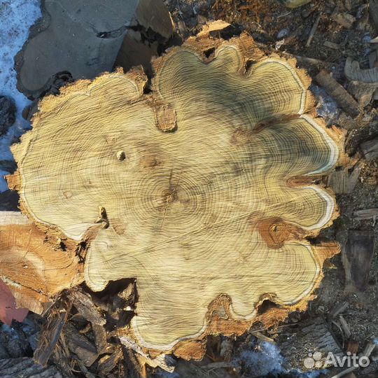 Поперечный срез акации, Слэб, столы, столешницы