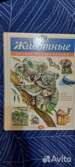 Энциклопедия Животные