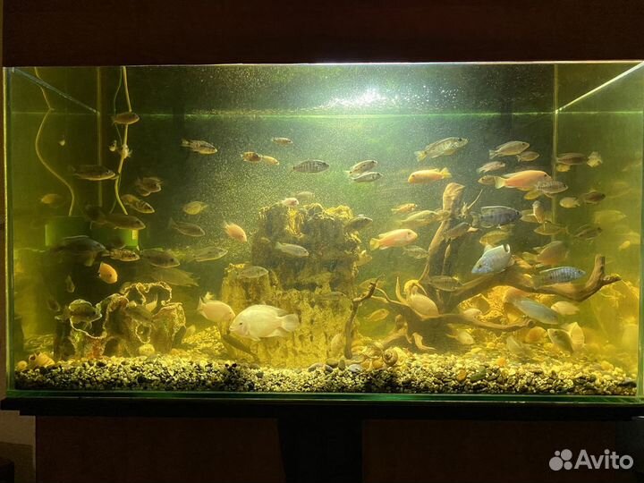 Аквариум с тумбой 400 литров