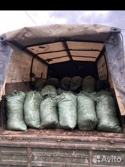 Конский перегной