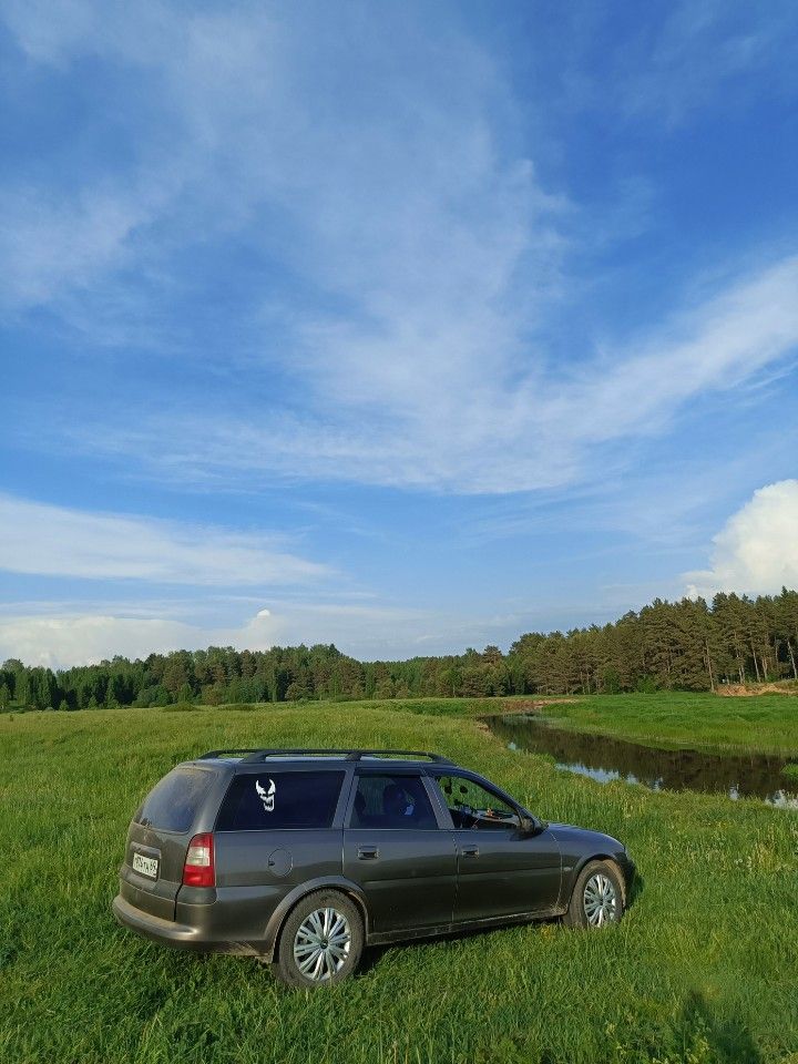 Opel Vectra: фото владельца
