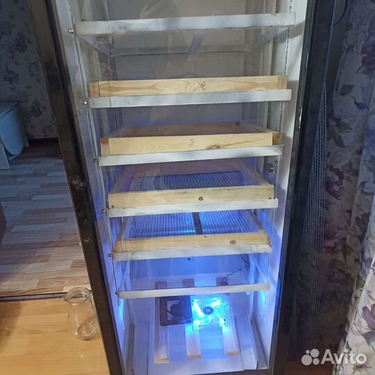 Инкубатор для яиц