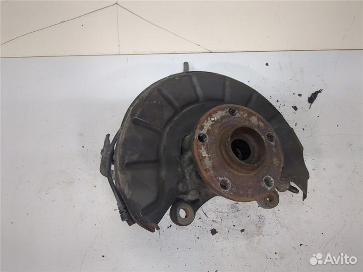 Ступица (кулак, цапфа) Volkswagen Tiguan, 2009