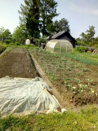 Дом 50 м² на участке 23 сот.