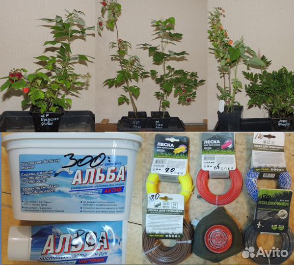 Флокс, Лилейник, Малина, Роза, Спирея, Клематис