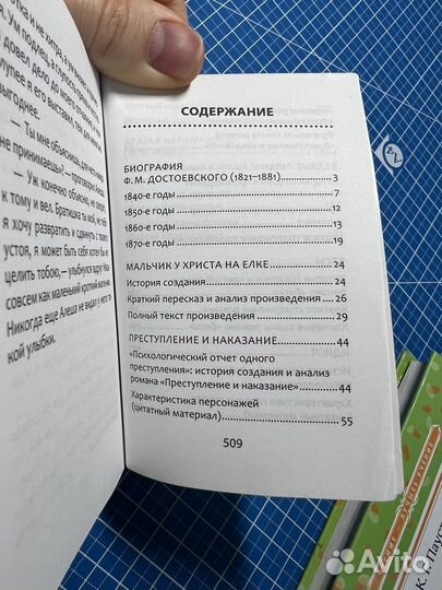 Классики за 30 минут, Ф.М. Достоевский, книга