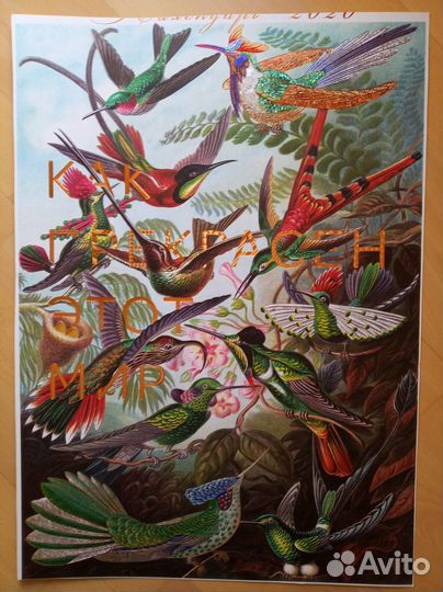 Постер на плотной бумаге. 40*46 см