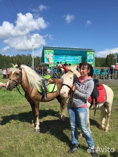 Конные прогулки, катание, обучение верховой езде