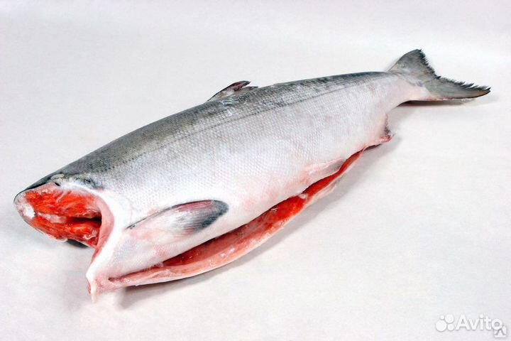 Кета без головы свежемороженая. Крупная. Камчатка