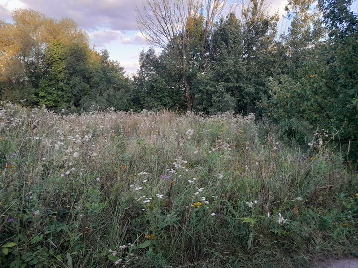 Участок 15 сот. (ИЖС)