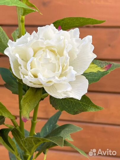 Искусственные цветы Пион