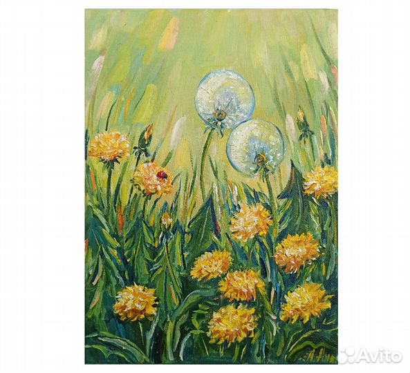 Одуванчики картина полевые цветы маслом 25х35см