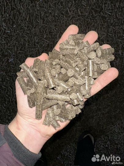 Шрот подсолнечный