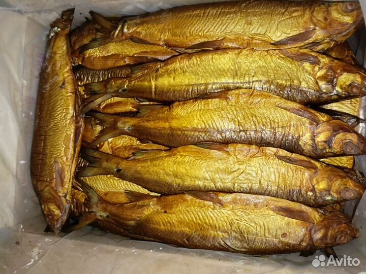 Сиг горячего копчения рыба