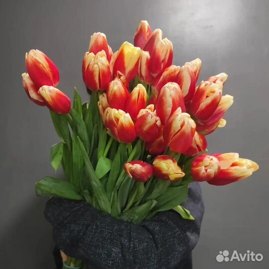 Тюльпаны оптом