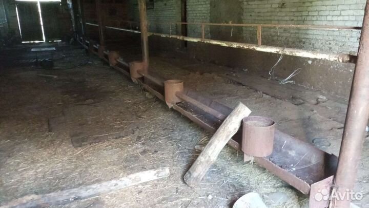 Ферма коровник