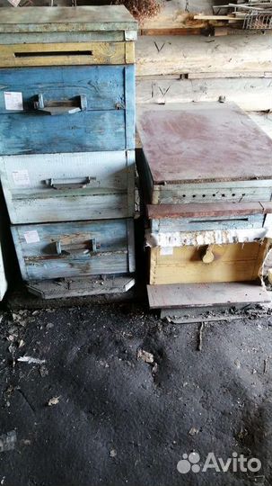 Улей для пчел