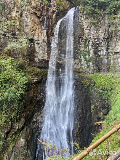 Экскурсия,тур в Абхазию